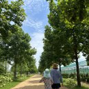 한강시민공원 화장실 앞 이미지