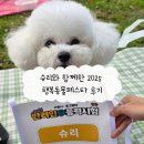 행복 | 슈리와 함께한 2025 행복동물페스타 후기