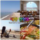안면도수평선 | 태안 안면도 애견동반 식당 걸어서 5분 낙조 코스 태안게국지 안흥꽃게장