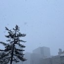 방기공원 화장실 | [노즈워킹 킁킁] 삿포로 그랜드호텔 숙박 후기 | 삿포로 여행 호텔 추천