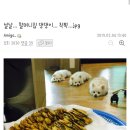 할머니집 이미지