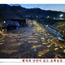 삼일농장 이미지