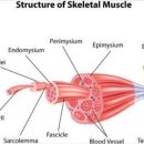 새롬의원 이미지