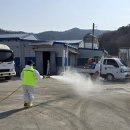 메추리농장 이미지