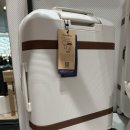 some 민박 | 크리스마스 선물로 샘소나이트 여행용 가방, 꽃다발은 킹프로티아 어때요?