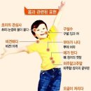 오금이 저리다… '오금'은 어디일까? 이미지