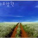 세화요양원 네이버블로그