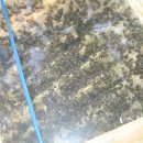 진우농장 이미지