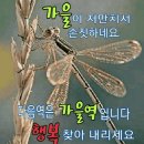 하라생활건강