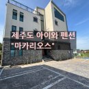 1025 | 제주도 아이랑 가기 좋은 숙소 "마카리오스 펜션" 키즈룸 후기.