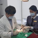 디에르치과의원 이미지