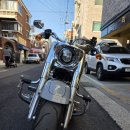 팀 팻보이 | 할리데이비슨 팻보이 114 후기 &amp; 재원 정보