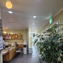 원어민 중국어 (Level 3, A) | 수원중국어학원 TSC 4급 합격 과정 후기