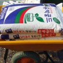 왕베리농원 이미지