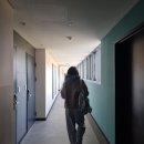 거제자연산회 | [거제 밥집] 한화리조트 거제 벨버디어 맛집, 가성비 자연산회 소나무횟집