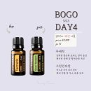 그린아로마