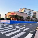 (주)바이오쓰리디 이미지