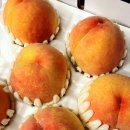 대황농장 이미지