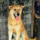 진동안집 이미지