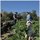 도담아이어린이집 이미지