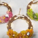 공기정화 스칸디아모스 만들기 이미지