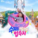 월드레포츠클럽 | 홍천 비발디파크 오션월드 곤돌라 양떼목장까지, 여름 가족여행 추천 코스 총정리