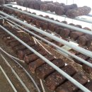 백화고버섯이나 표고버섯 톱밥재배에서 생산을 끝낸 폐배지 처리가 문제가 되는데, 다양한 용도로 사용하고 있습니다 이미지