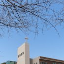 볼음도길 이미지