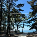 [캠핑] 바다 캠핑 서울 근교 충청도 충남 태안 사목공원 캠핑장 G2, G3 사이트 후기