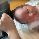 구로구 신도림 아름제일 산후조리원 완전 솔직 후기 (만실 시 대처, 교육 프로그램, 방 컨디션, 조기퇴소)
