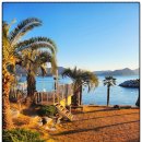 야자수펜션 스파오션뷰 이미지