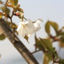 도촌농장 이미지