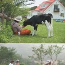 천둥목장 이미지