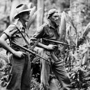 해전통상 이미지