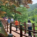 좌구산 휴양림 관리사무소 이미지