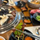 [서울/성내동] 맛도리 페페피셜 양갈비 원탑은 바로 여기! 미양가