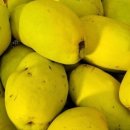 조아한의원 이미지