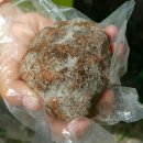 정화 뜨개방 | [매곡신천여성회]EM흙공 만들기 #울산북구 #그린맘봉사대 #매곡천