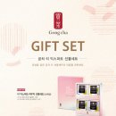 익스퍼트