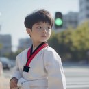 리틀타이거 태권도 이미지