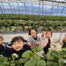 영주동부초등학교 이미지