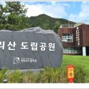 수리사~~~ 이미지