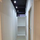 한국체대 복싱 이미지