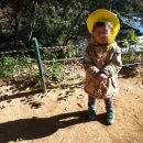 쁘띠쁘아유치원 이미지