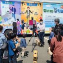 남원백두대간생태교육장전시관 이미지