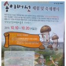 산양농산촌체험마을 | [삼척팸투어 후기] "산양농산촌 체험마을" 탐방