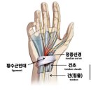 이동튼튼정형외과의원 네이버블로그