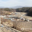 용바우 이미지