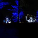 포레스타(Foresta)