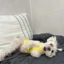 낄낄아놀자 이미지